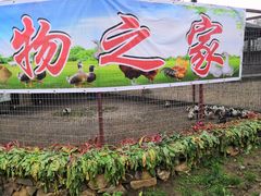 -嬉乐湾休闲旅游区