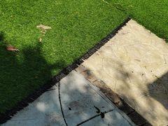 -汪说喵讲宠物乐园宠物酒店(红星美凯龙店)