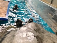 -成都浩海立方海洋公园