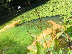 -桃花岛风景旅游区