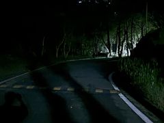 -火炉山森林公园