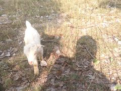 -太湖游船(石公山码头)