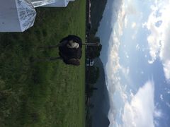 iphone_upload_pic-瑞穗牧场