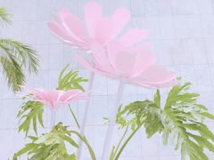 -奈雪的茶(skp店)