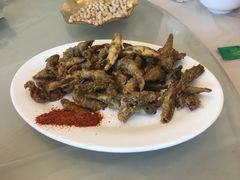 -稻香村鱼庄