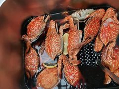 -半岛听涛蒸汽海鲜自助(K11店)