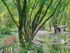 -上海共青森林公园