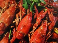 -老梅园大虾城(八一桥店)