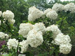 -合肥三国新城遗址公园