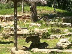 -北京野生动物园