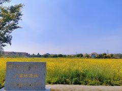 -广富林郊野公园
