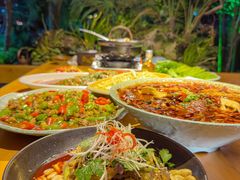 -青城甲(青城山店)