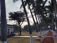 -万绿园