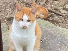 -新万鑫银丝面·非遗无锡味(惠山古镇店)