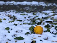 -南京市江宁方山