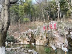 -东庐山观音寺