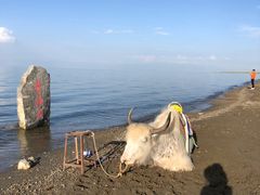 -青海湖国家重点风景名胜区