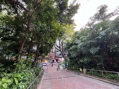 -九龙公园