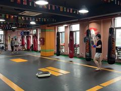 -臻元搏击格斗泰拳拳馆(港隆店)