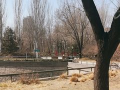 -北极寺公园
