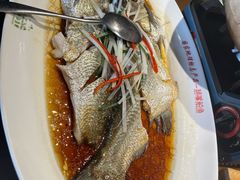 翘嘴鲌鱼-丹江渔村(望京店)