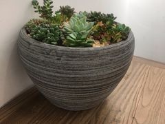 -甜心闲生传统手工冰粉(奎星楼店)