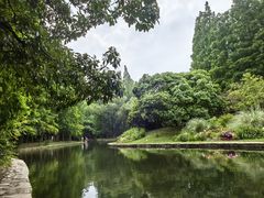 -上海共青森林公园