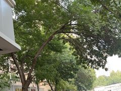 -正味斋锅巴菜(西北角店)