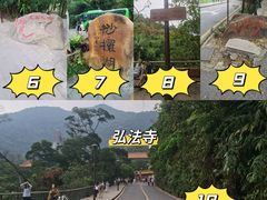 -深圳仙湖植物园