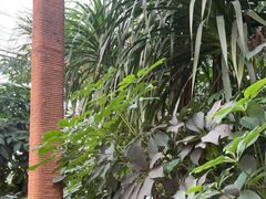 -金稼园·金平湖农家菜