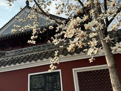 -长春观