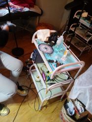 -椿树下·Tattoo纹身工作室