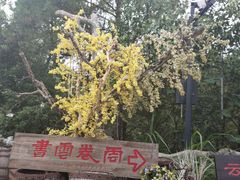 -云卷云书咖啡厅