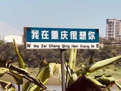 -磁器口古镇