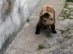 -捷克克鲁姆洛夫城堡
