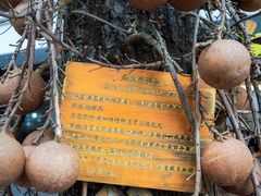 -曼阁市场水果批发市场
