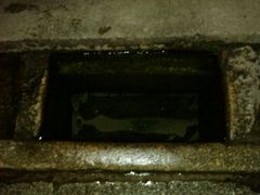 -白沙古井