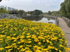 -西安浐灞国家湿地公园
