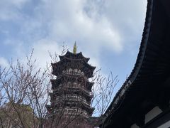 -洋湖国家湿地公园