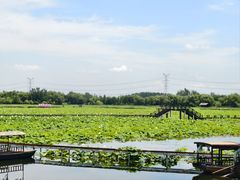 -焦岗湖旅游度假区
