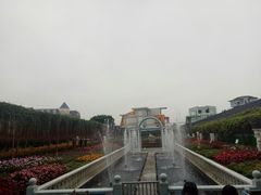 -百万葵园