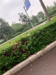 -HEYAN长风荷妍专业脱毛美肤
