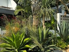 -自由生长植物工作室(深港花卉中心店)