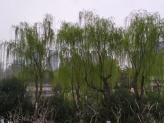 -后襄河公园
