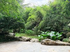 -龙头寺公园
