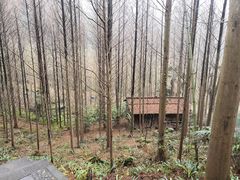 -凤栖山