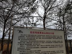 -黑油山景区