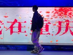 -重庆欢乐海底世界