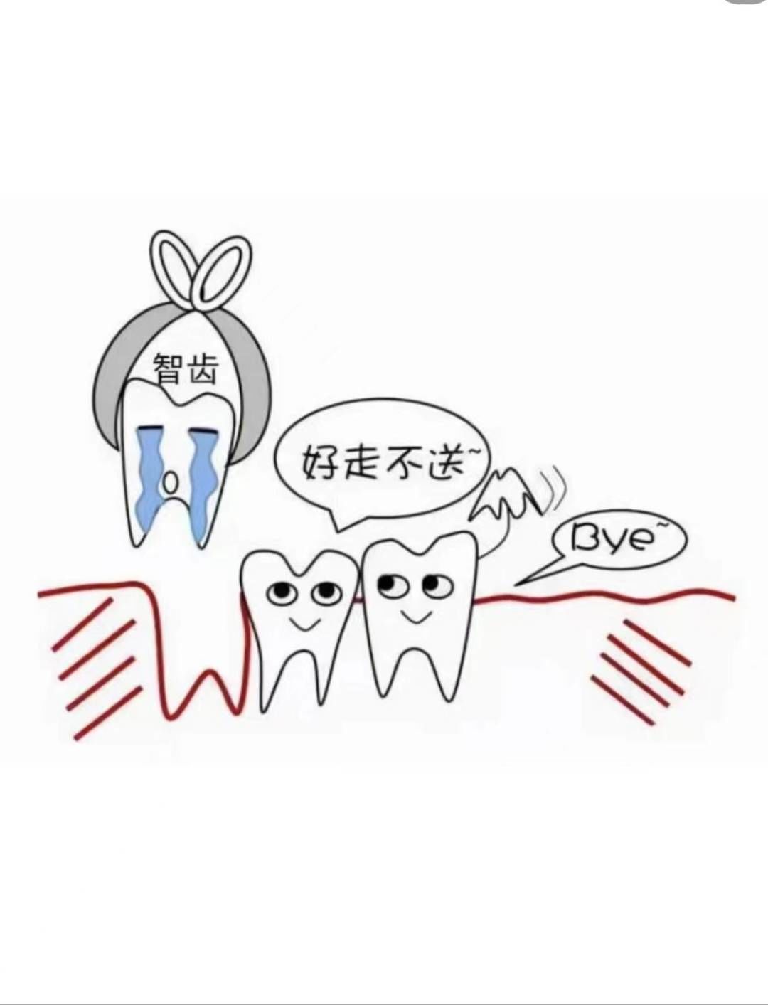 智齿一疼,你忘了全世界