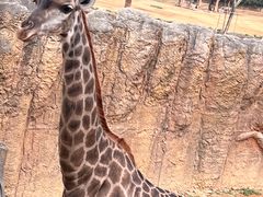 -杭州野生动物世界